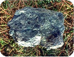 California state symbol: Serpentine, State Rock