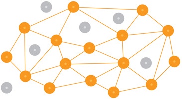 network image